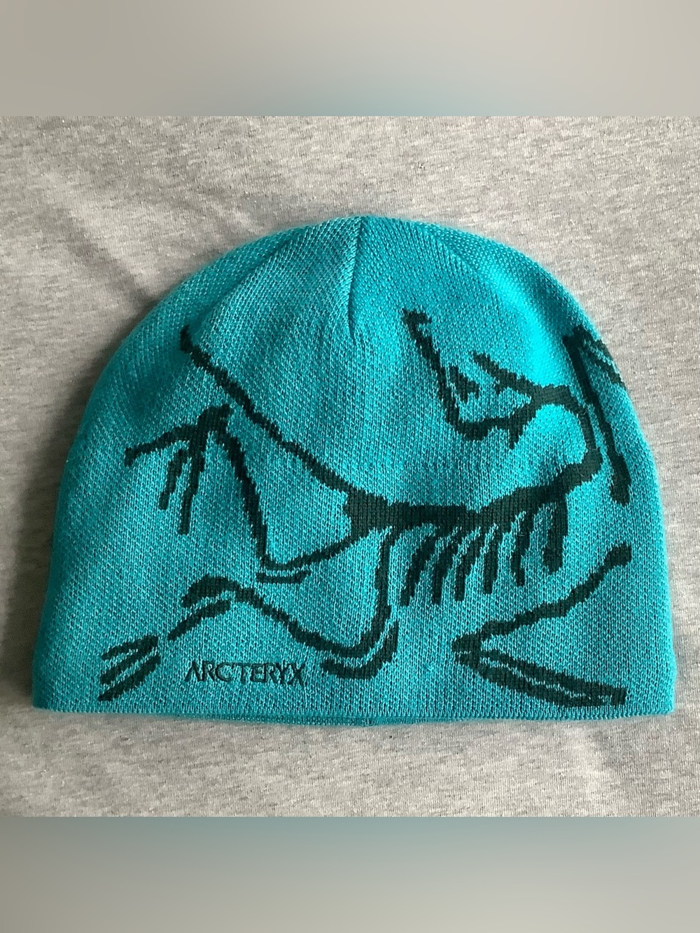 Arc’teryx Bird Head Toque Blue Tetra/Pytheas Beanie Rare Discontinued